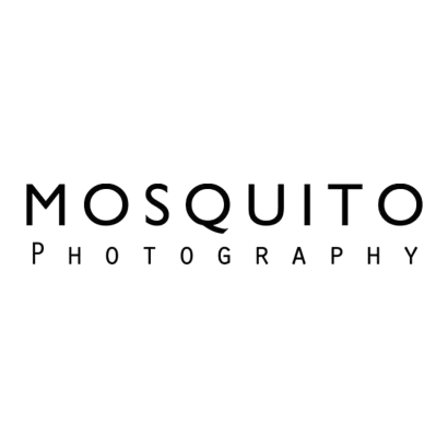 Mosquito | 心綸
